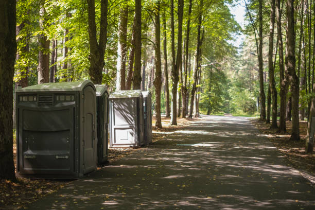 Best Local porta potty services  in Sangaree, SC